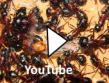 Video Camponotus ligniperda Königin geschlüpft