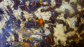 Messor cephalotes 4.jpg