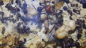 Messor cephalotes Königinnenpuppen.jpg