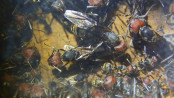 Camponotus singularis Jungköniginnen.jpg
