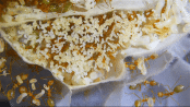 Oecophylla smaragdina Nest.gif