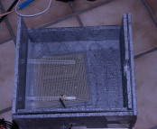 Oecophylla smaragdina Nestbox_6.jpg