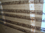 Acromyrmex spec.