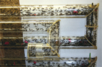 Acromyrmex spec.