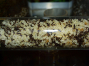 Acromyrmex spec.