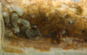 Aphaenogaster texana Nest