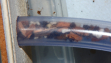 Camponotus ligniperda im Schlauch