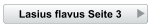 Lasius flavus Seite 3