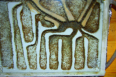 Lasius flavus im Gipsnest