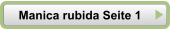 Manica rubida Seite 1