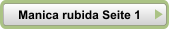 Manica rubida Seite 1